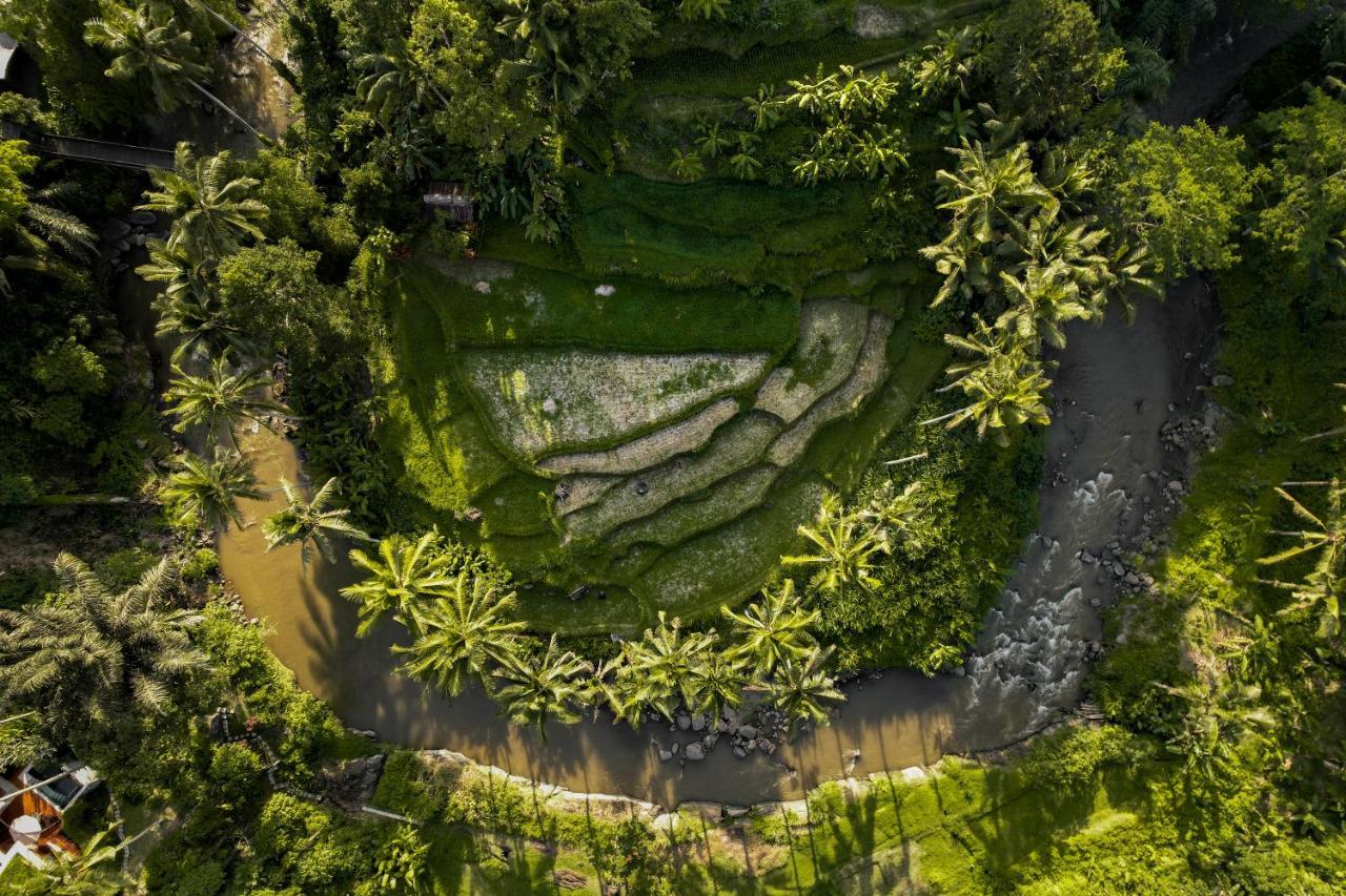 The Ridge Bali Villa Ubud  Exterior photo